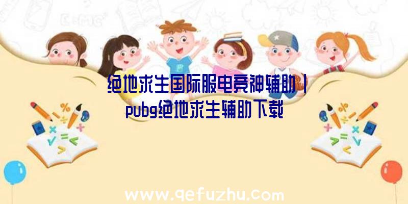 「绝地求生国际服电竞神辅助」|pubg绝地求生辅助下载